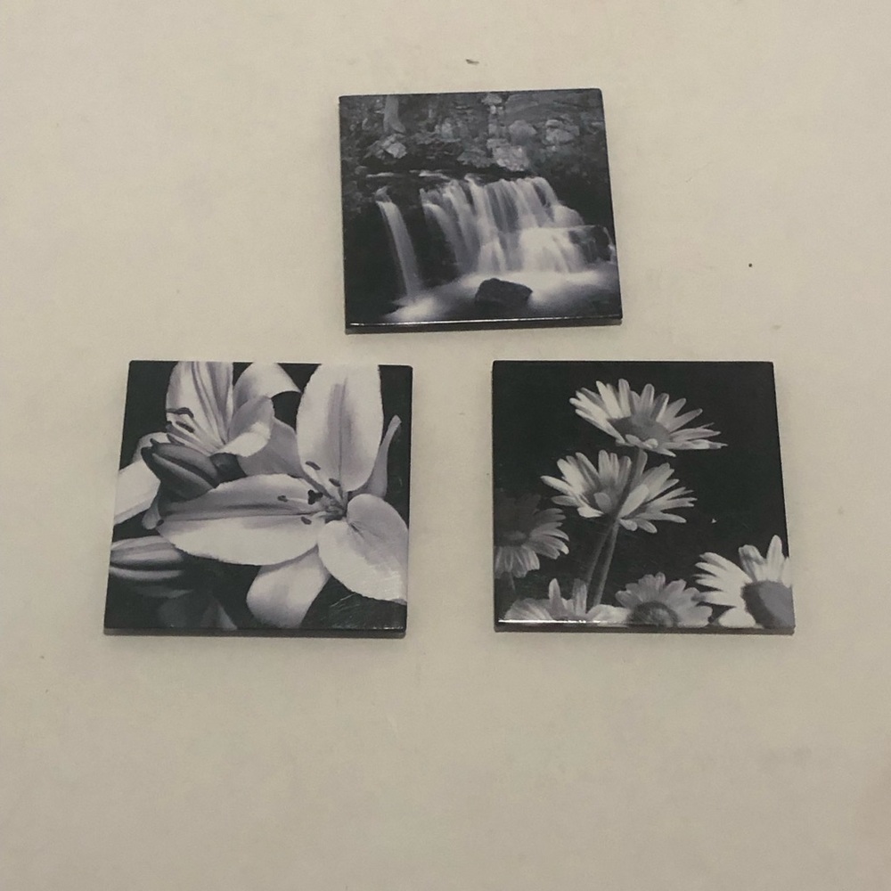 Black & White Floral and Waterfall Magnets - Set of 3